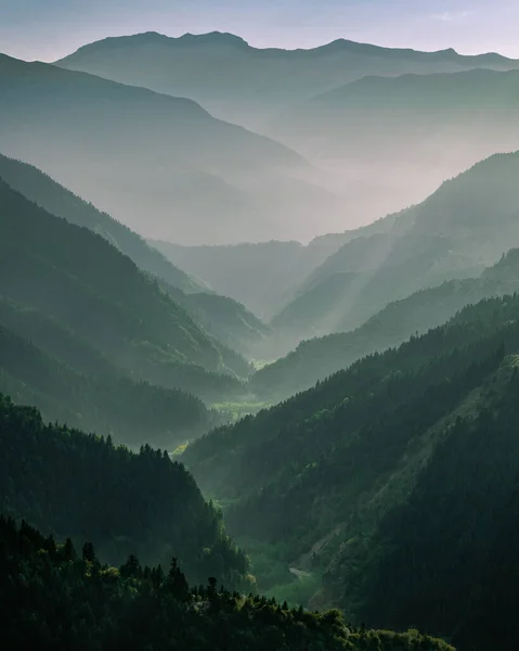 田園地帯に緑豊かな森が広がる緑の山の風景の垂直ショット — ストック写真
