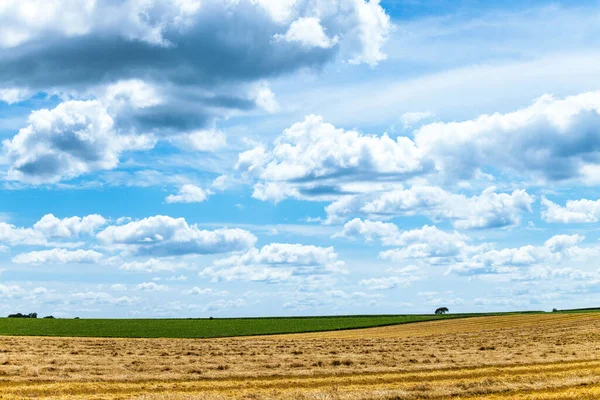 晴れた日の美しい畑の空中風景 — ストック写真