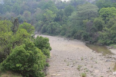 Yeşil ağaçlarla kaplı kıyılarından akan bir nehrin manzarası.