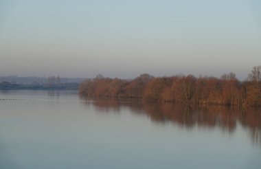 Gün batımında İngiltere 'nin Essex kentindeki Abberton gölünün sakin yüzeyine yansıyan çıplak ağaçların manzarası.