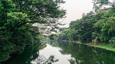 Ormanla çevrili bir göl manzarası. Güneş ışığı altındaki sulara yansıyan ağaçlar. Dhanmondi, Dhaka, Bangladeş.