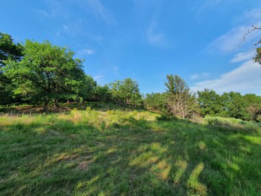 İtalya 'daki Ligurian sahillerinin tipik akdeniz temizliği. Mimari görüntüleme için kullanışlı