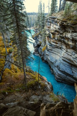 Athabasca Şelalesi Kanyonu 'nun dikey çekimi. Alberta, Jasper, Kanada' da ünlü bir dönüm noktası.