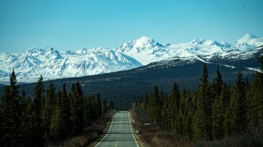 Arka planda karlı dağ sıraları olan bir ormandan geçen boş bir yol.