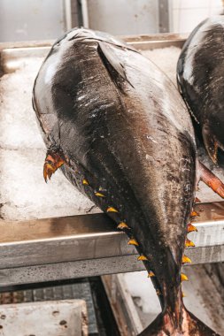 Yerel balık pazarında buzlu ton balığının yakın plan çekimi.