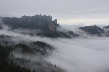 Yoğun bulutlarla kaplı orman manzaralı dağlar. Arka planlar ve duvar kağıtları için harika.