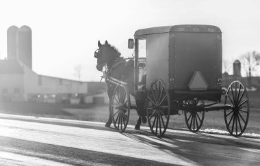 Lancaster, Pennsylvania sokaklarında at arabası çeken Amish atının gri tonlu bir fotoğrafı.