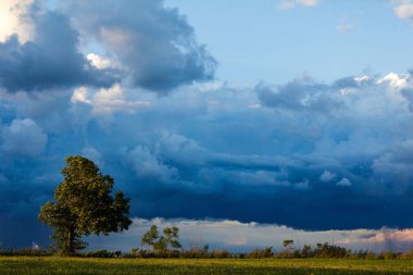 Ağaçlarla kaplı güzel bir manzara ve arka planda bulutlu bir gökyüzü.