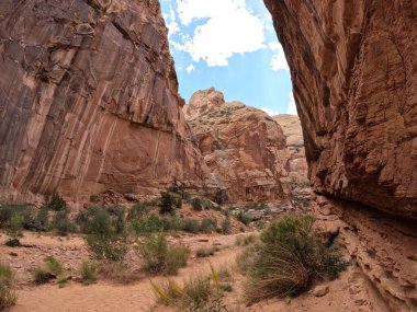 Bulutlu arka planda kırsal bir alanda güzel kaya oluşumlarının manzarası