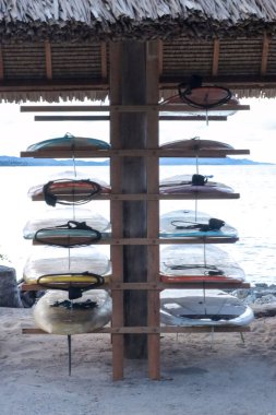 Filipinler 'de bir plajda kiralamak veya satmak için renkli sörf tahtaları.