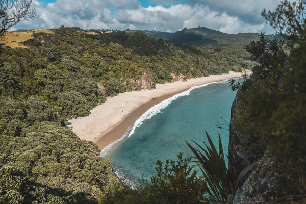 Una Vista Aérea Detrás Las Hojas Árboles Verdes Playa New — Foto de Stock