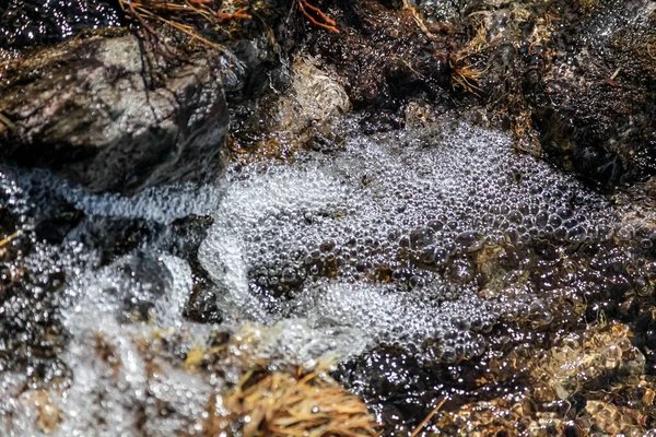 Pequeno Rio Fluindo Uma Área Rural Entre Rochas Pedras — Fotografia de Stock