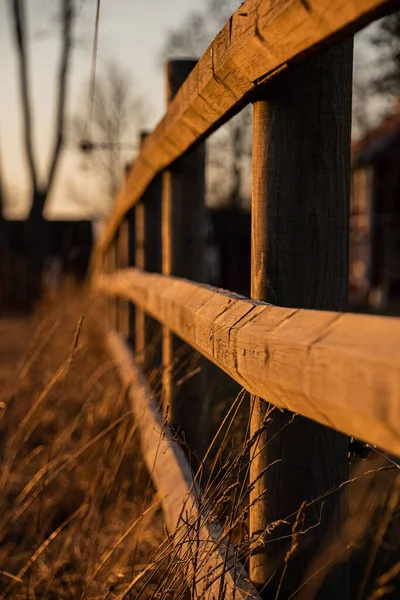 Eine Vertikale Aufnahme Von Holzzäunen Umgeben Von Getrocknetem Gras Unscharfen — Stockfoto