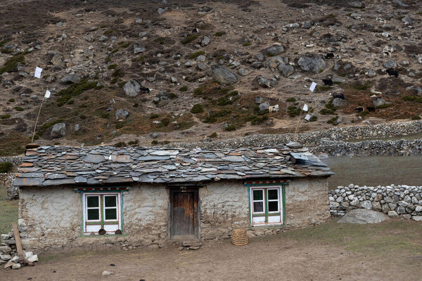 An exterior view of an old, abandoned house in a rural area in daylight