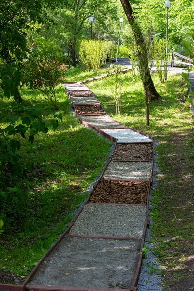 Therapeutic Alley Sovata Resort Romania Path Summer — Stock Photo, Image