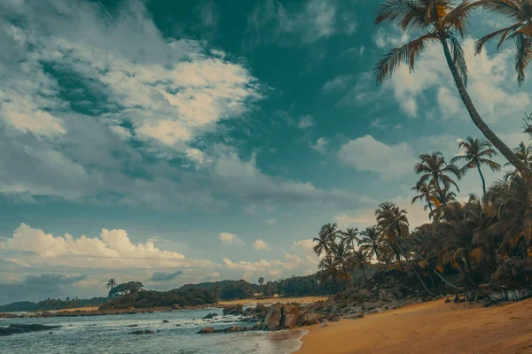 Beautiful View Coastline Lined Trees Cloudy Sky — Stock Photo, Image