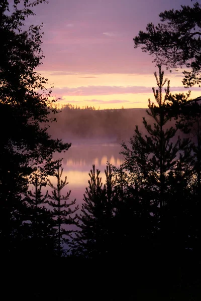 Gün Doğumunda Sveç Bir Göl Bir Ormanın Dikey Görüntüsü — Stok fotoğraf