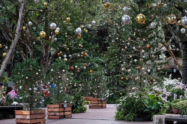Een Prachtig Shot Van Evergreens Bedekt Met Kerstspeelgoed Een Park — Stockfoto