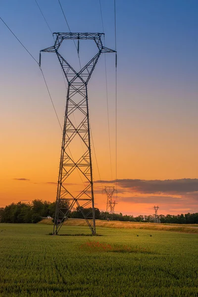 Krásná Krajina Zeleného Zemědělského Pole Blízkosti Elektrického Pilíře Při Západu — Stock fotografie