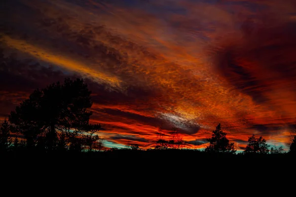 Cielo Rojo Anaranjado Oscuro Atardecer Sobre Bosque — Foto de Stock