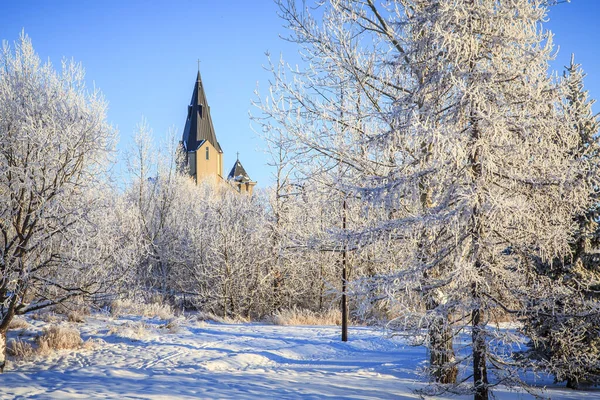 Snow Covered Trees Cathedral Distance Sunny Blue Sky — Stock Photo, Image