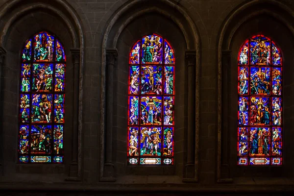 Maalattu Lasimaalauksia Ikkunat Lausannen Katedraali Sveitsi — kuvapankkivalokuva