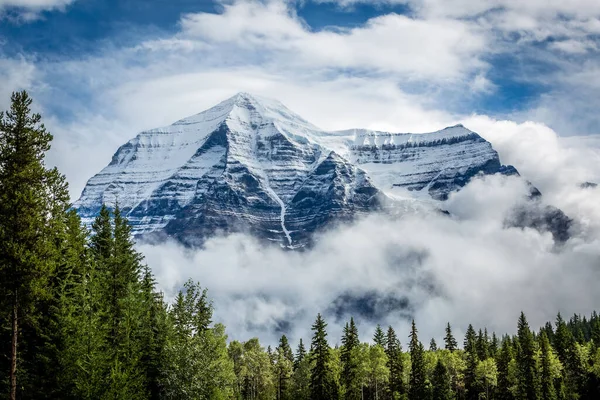 在多云的天空下 常绿的树和白雪覆盖的山 — 图库照片