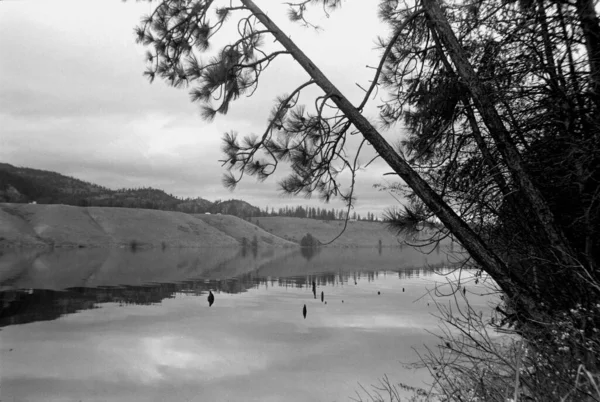 Tiro Escala Grises Río Tranquilo Cerca Las Pequeñas Colinas Contra —  Fotos de Stock