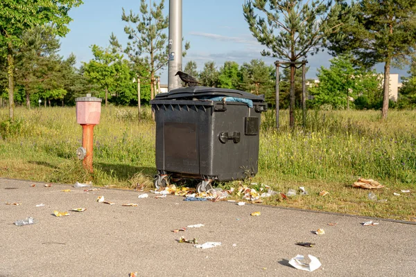 Blick Auf Eine Krähe Die Auf Einem Papierkorb Hockt Umgeben — Stockfoto