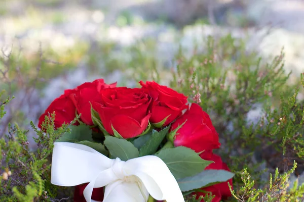 Primer Plano Ramo Nupcial Rosas Rojas Atadas Con Cinta Blanca —  Fotos de Stock