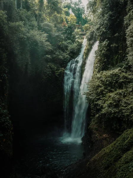 Tiro Vertical Uma Cachoeira Uma Selva Bali Indonésia Cercada Por — Fotografia de Stock