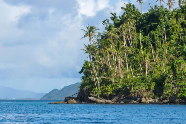 Una Splendida Vista Una Spiaggia Isola Con Palme Nelle Filippine — Foto Stock