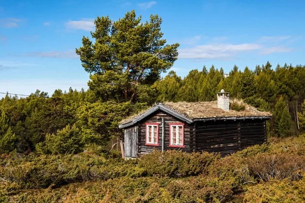 Een Schilderachtig Uitzicht Een Kleine Houten Hut Een Landelijke Omgeving — Stockfoto