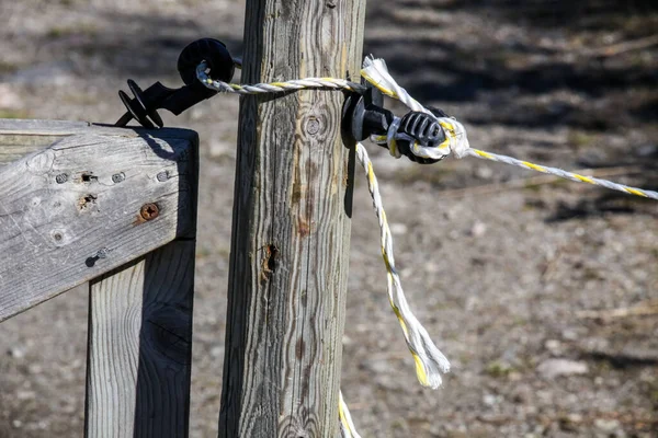 Une Longue Corde Colorée Attachée Une Vieille Bûche Bois Dans — Photo