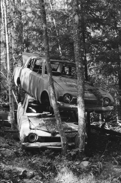 Dua Mobil Tua Atas Eachother Hutan — Stok Foto