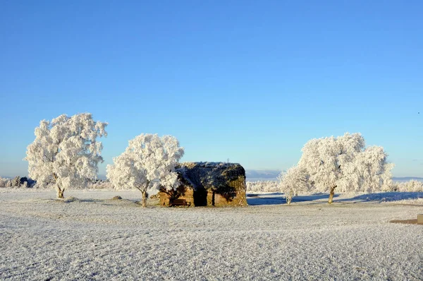 Paisaje Congelado Con Una Pequeña Cabaña Entre Los Árboles Sobre —  Fotos de Stock