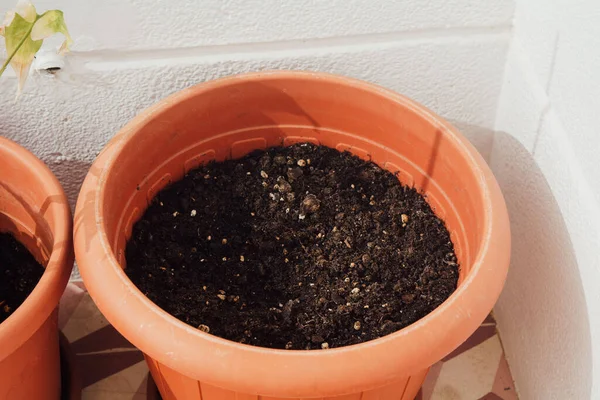 Closeup Shot Brown Clay Pot Soil Plants — Stock Photo, Image