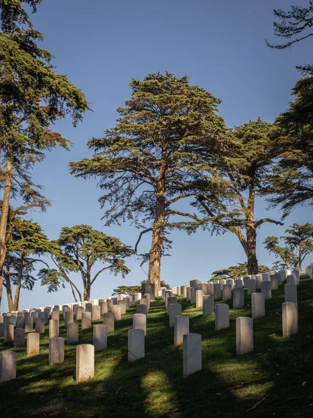Disparo Vertical Lápidas Cementerio Nacional San Francisco Día Soleado — Foto de Stock