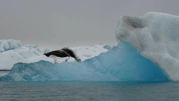 Lagoa Glaciar Islândia — Fotografia de Stock