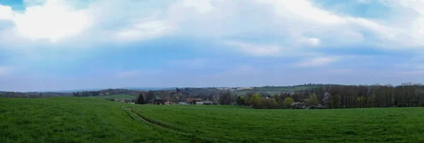 Een Panoramisch Uitzicht Een Prachtig Bos Een Zonnige Dag — Stockfoto