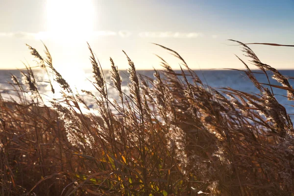 Вид Воздуха Красивое Море Солнечный Летний День — стоковое фото