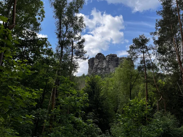 Πράσινη Βλάστηση Βουνά Της Σαξονικής Ελβετίας Στο Παρασκήνιο Γερμανία — Φωτογραφία Αρχείου
