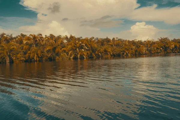 Ein Schöner Blick Auf Einen Ruhigen See Umgeben Von Bäumen — Stockfoto