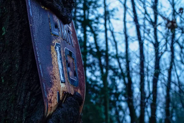 Eine Selektive Fokusaufnahme Eines Alten Rostigen Metallschildes Baum Wald — Stockfoto