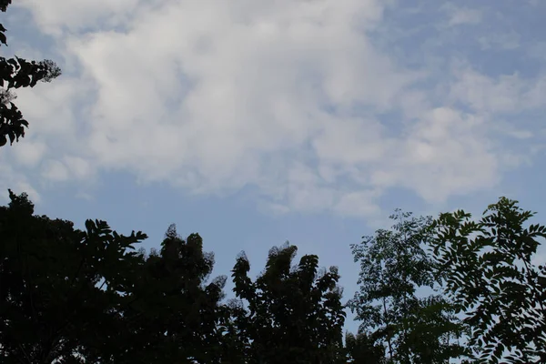 Uma Bela Vista Céu Azul Sobre Árvores — Fotografia de Stock