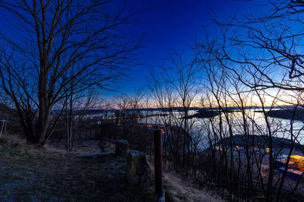 Голубое Вечернее Небо Над Голубыми Силуэтами Деревьев Берегу Озера — стоковое фото