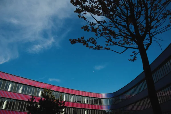 Het Neues Gymnasium Bochum Bochum Duitsland — Stockfoto