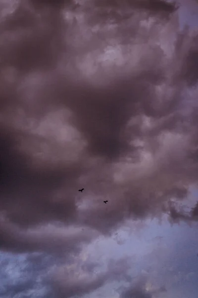Dramatische Aufnahme Eines Dunkelviolett Grauen Wolkenverhangenen Himmels Und Fliegender Vögel — Stockfoto