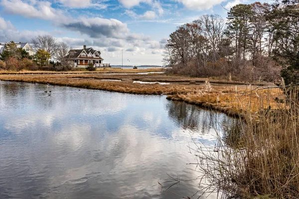 Een Landschap Met Water Droge Bomen Hyannis Cape Cod Massachusetts — Stockfoto