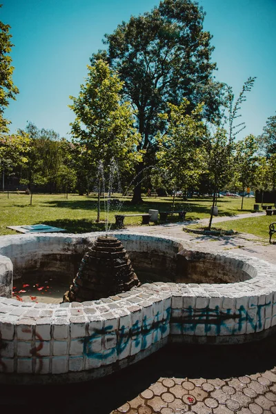 Een Verticaal Schot Van Een Vernielde Fontein Een Park — Stockfoto